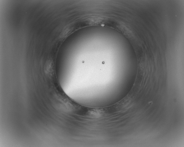 X0000062650079200512281658