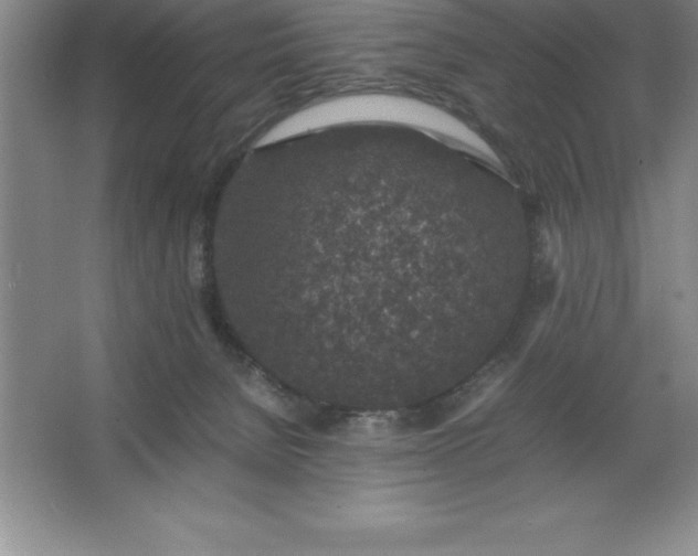 X0000062650080200512281658