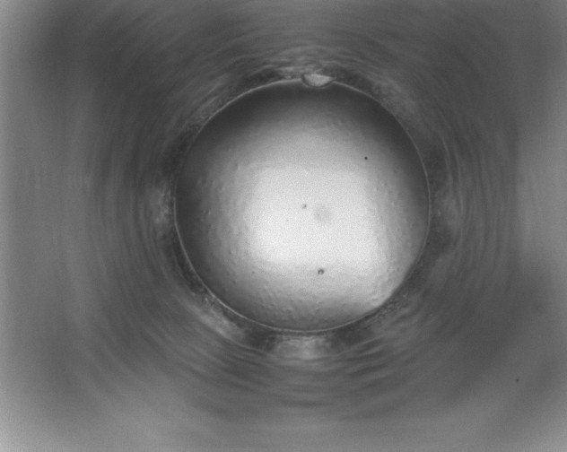 X0000062650081200512281658