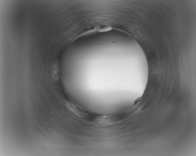 X0000062650082200512281658