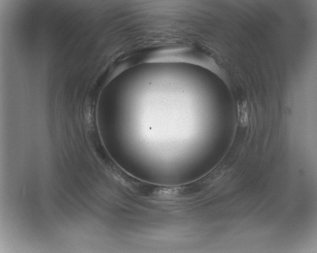 X0000062650084200512281658