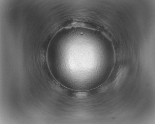 X0000062650085200512281658