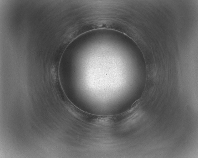 X0000062650086200512281658