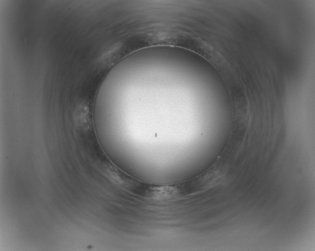 X0000062650087200512281658