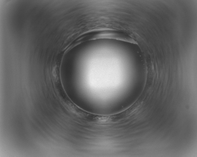 X0000062650088200512281658