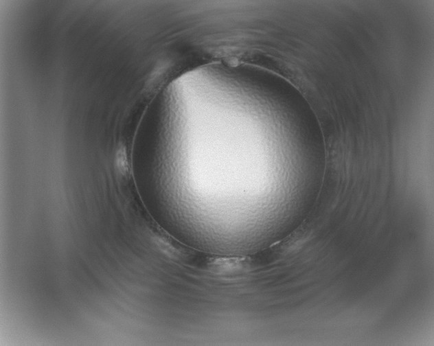 X0000062650089200512281658