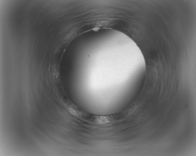 X0000062650091200512281658