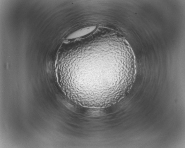 X0000062650093200512281658