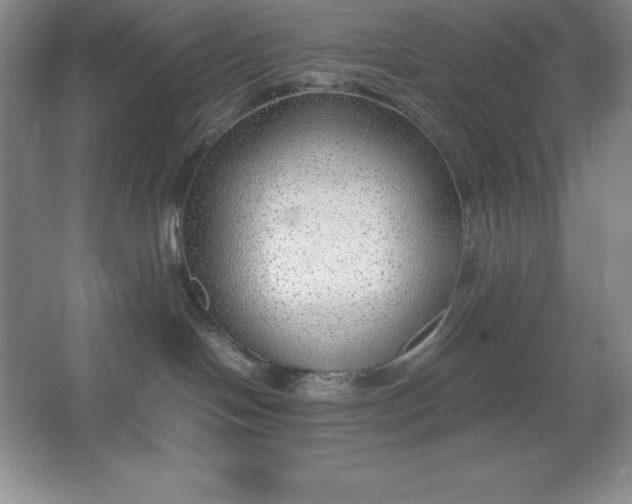 X0000062650094200512281658