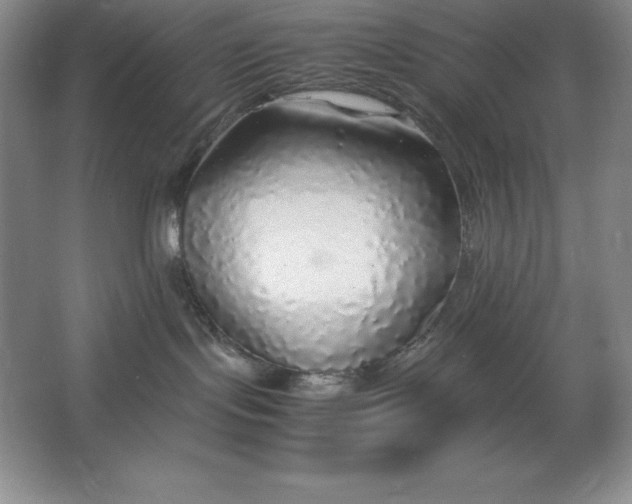 X0000062650095200512281658