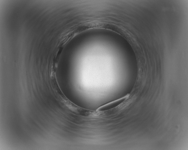 X0000062650096200512281658