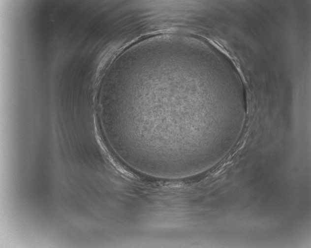 X0000062650097200512281657