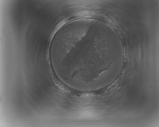 X0000062650099200512281657