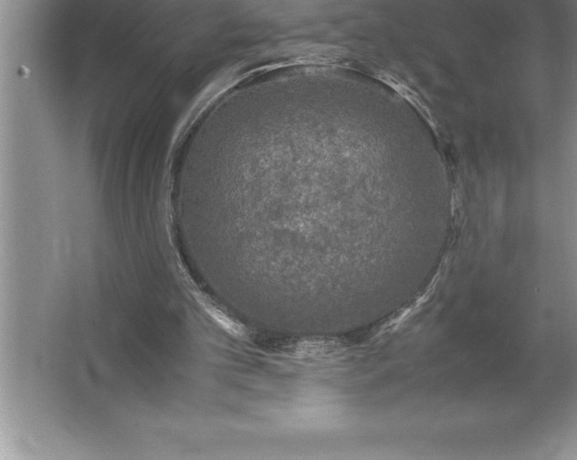 X0000062650101200512281657