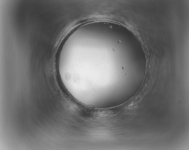 X0000062650103200512281657