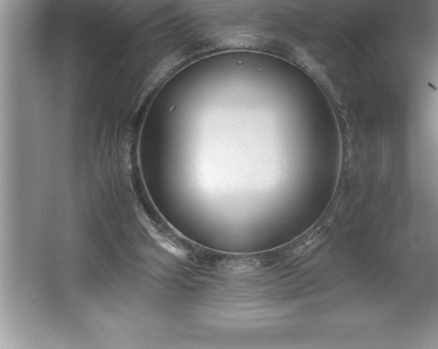 X0000062650106200512281657