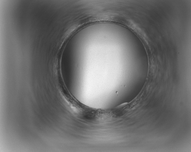 X0000062650107200512281657