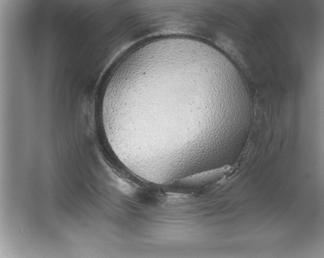 X0000062650108200512281657