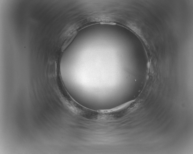 X0000062650109200512281657