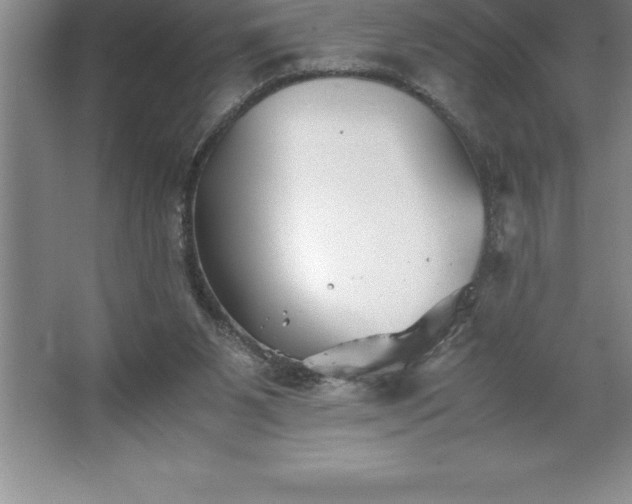 X0000062650111200512281657