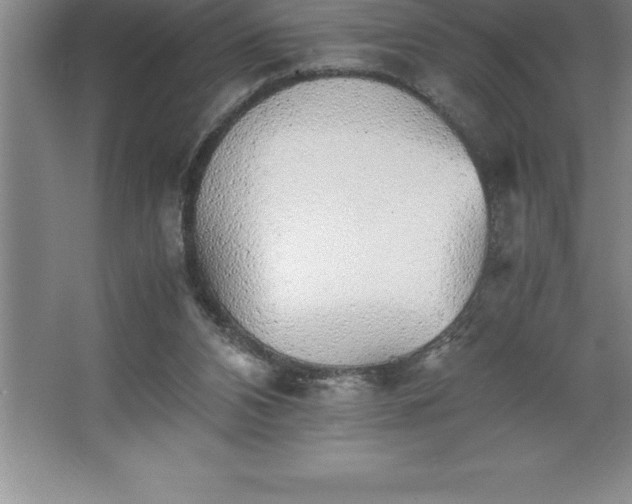 X0000062650112200512281657