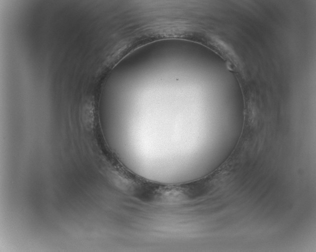 X0000062650113200512281657