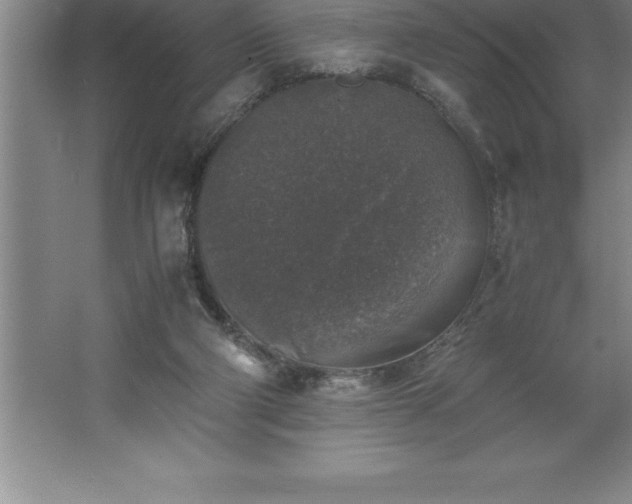 X0000062650114200512281657