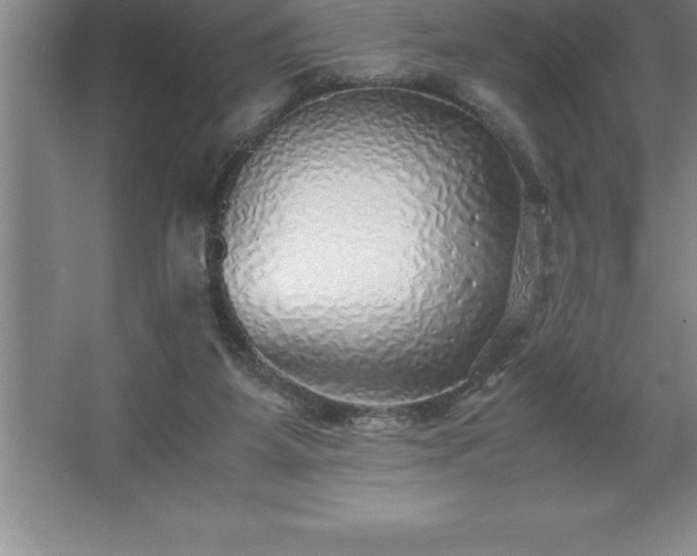 X0000062650115200512281657