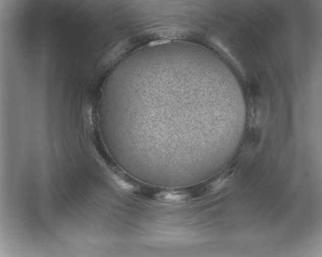 X0000062650117200512281657