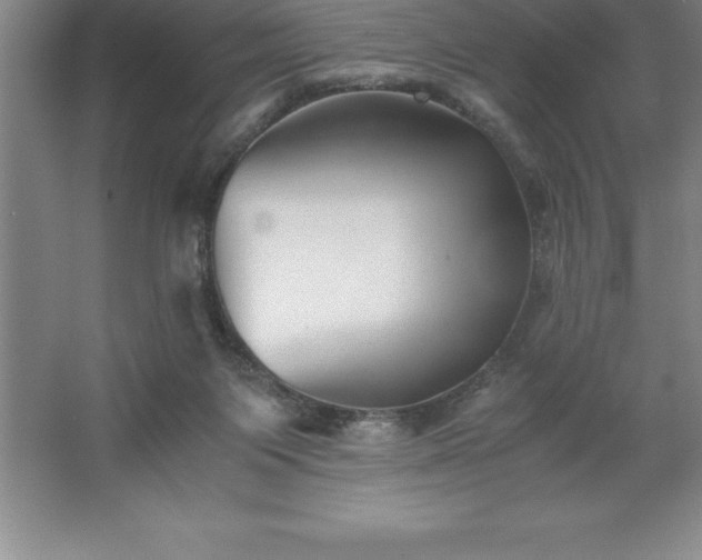 X0000062650119200512281657