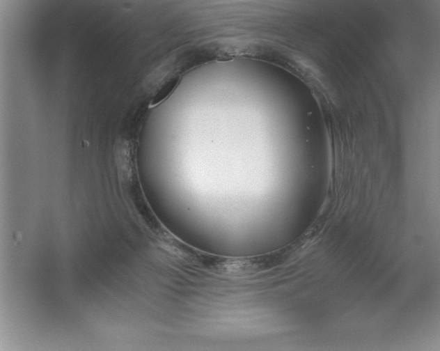 X0000062650121200512281657