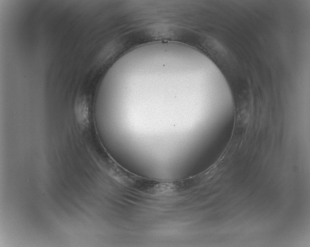 X0000062650124200512281657