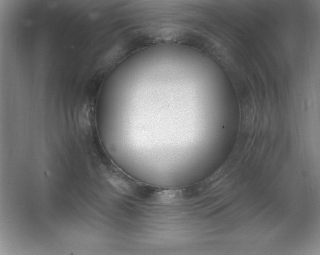 X0000062650126200512281657