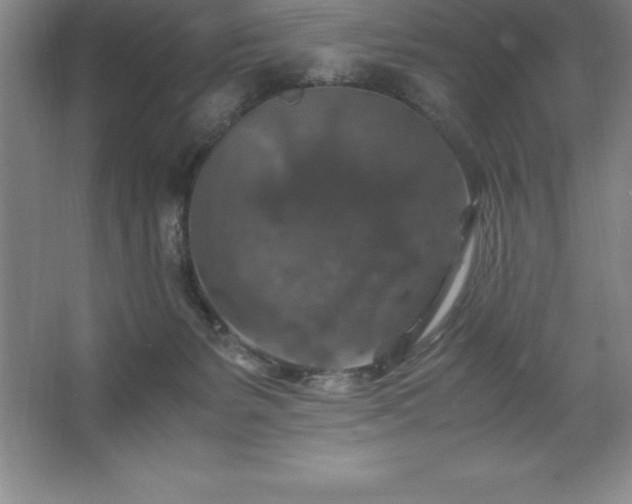 X0000062650127200512281657