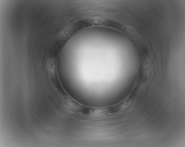 X0000062650129200512281657