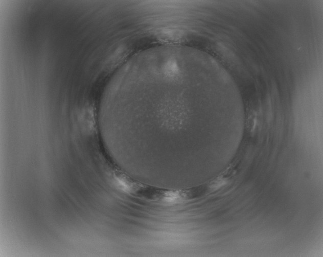 X0000062650130200512281657