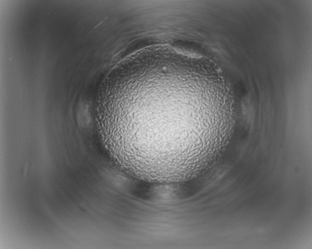 X0000062650131200512281657