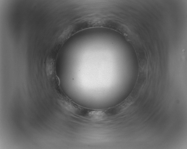 X0000062650133200512281657