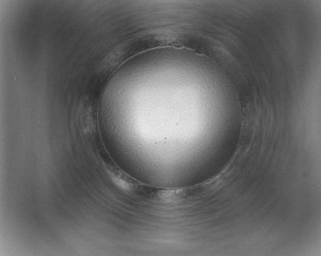 X0000062650136200512281657