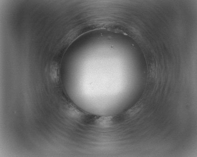 X0000062650138200512281657