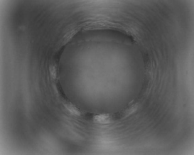 X0000062650139200512281657