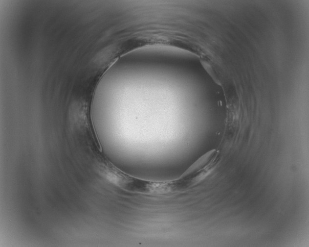 X0000062650141200512281657