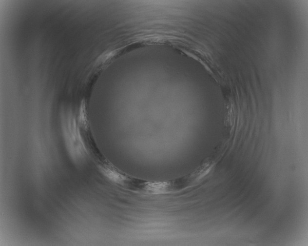 X0000062650143200512281657