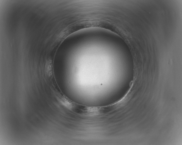 X0000062650144200512281657