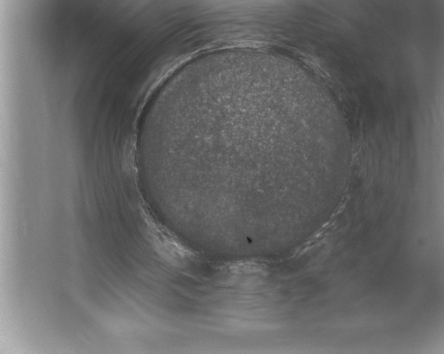 X0000062650146200512281656