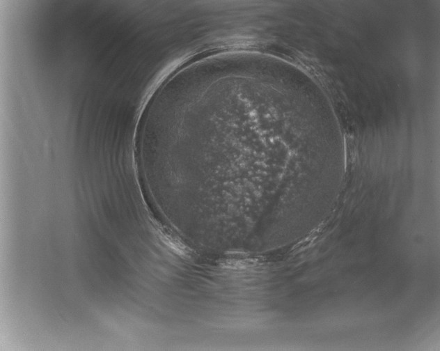 X0000062650147200512281656