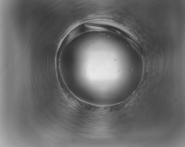 X0000062650148200512281656