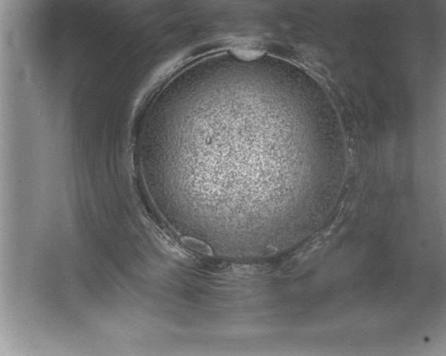 X0000062650149200512281656