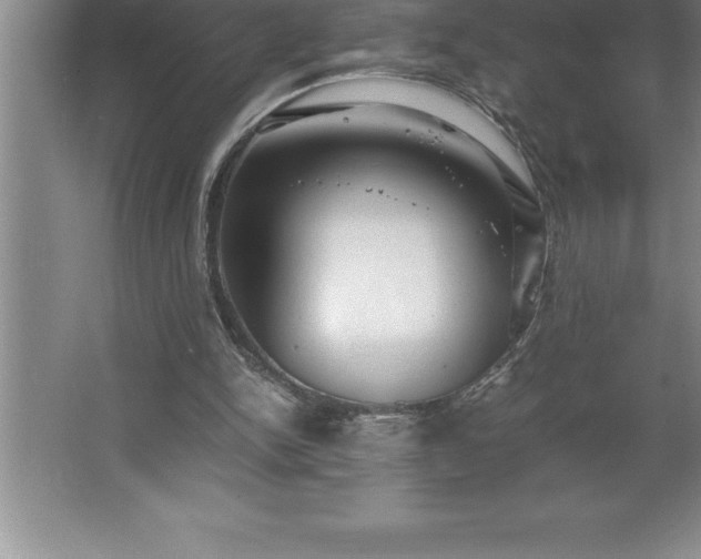 X0000062650150200512281656