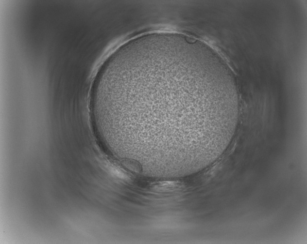 X0000062650151200512281656